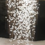 WhatsApp Image 2022-01-22 at 2.40.46 PM